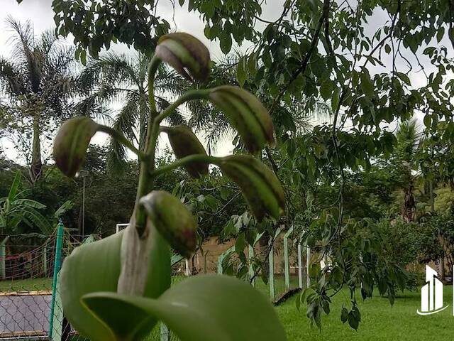 #242 - Chácara para Venda em Rio Claro - SP - 2