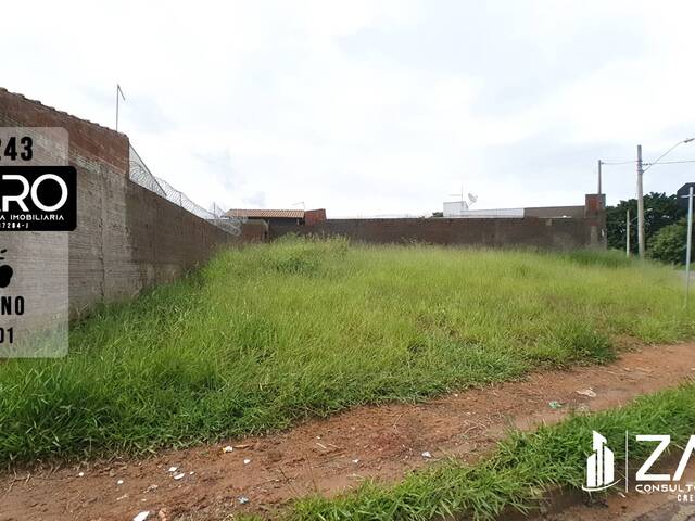 #243 - Terreno para Venda em Rio Claro - SP - 1