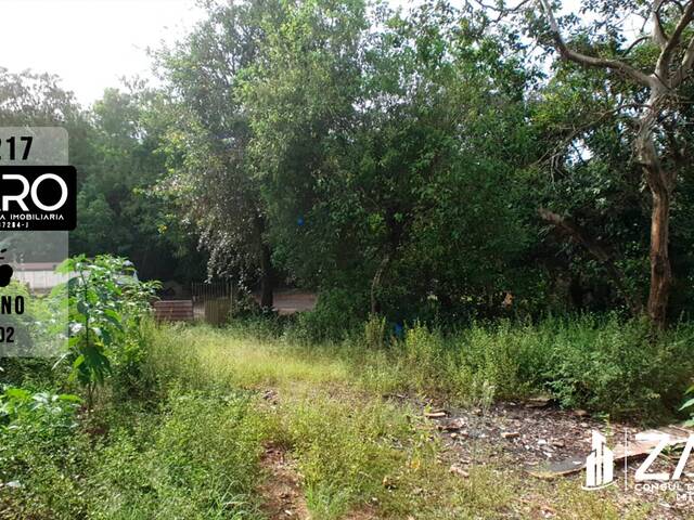 #217 - Terreno para Venda em Rio Claro - SP