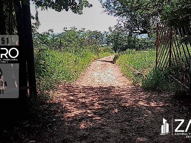 Venda em Itapé - Rio Claro