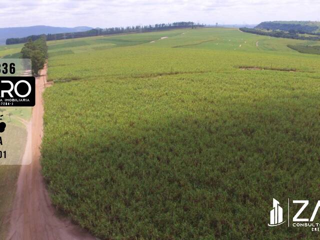 #336 - Fazenda para Venda em Rio Claro - SP - 1