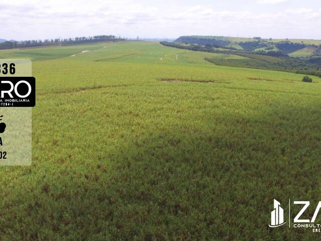 #336 - Fazenda para Venda em Rio Claro - SP - 2