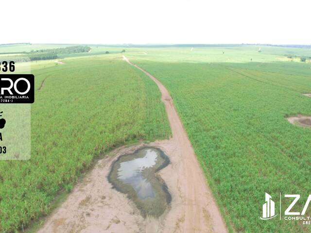 #336 - Fazenda para Venda em Rio Claro - SP - 3