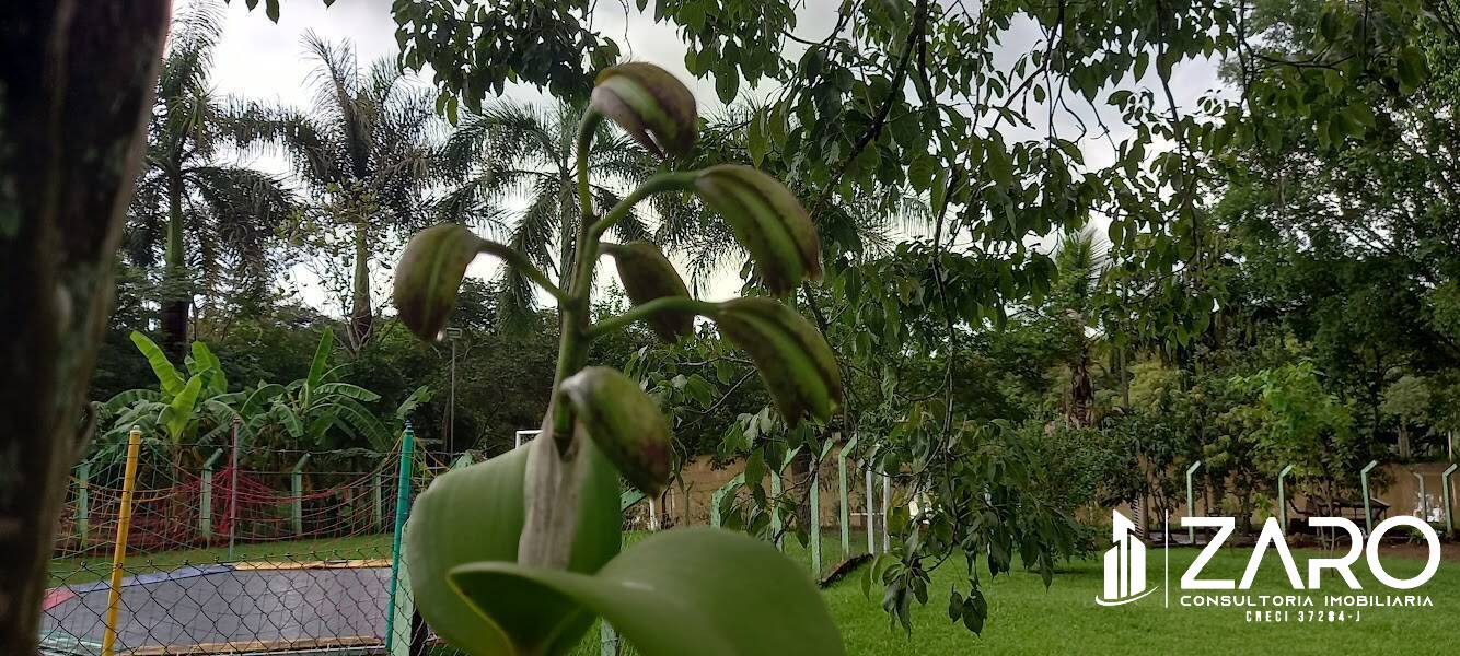 Fazenda à venda com 3 quartos, 2000m² - Foto 2