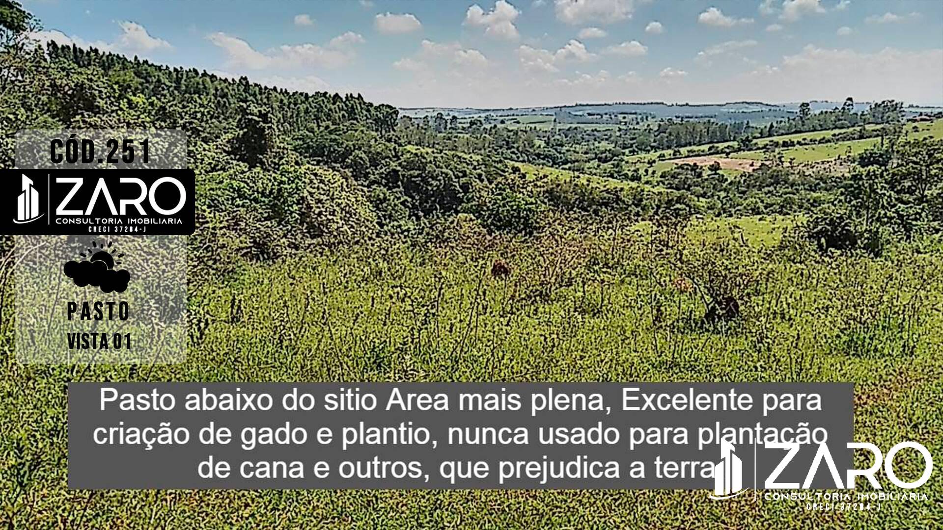 Fazenda à venda com 2 quartos, 35m² - Foto 10